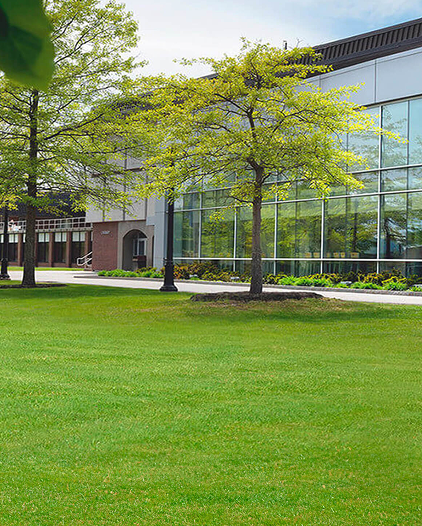 Identified as decorative because it does not provide essential instructional or contextual information.