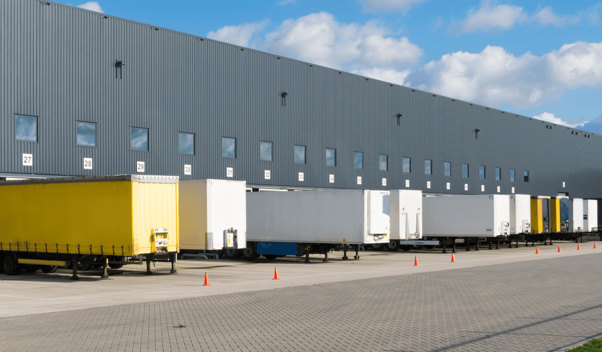 supply chain building