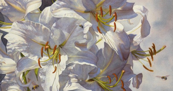 Water Colors Water Colors